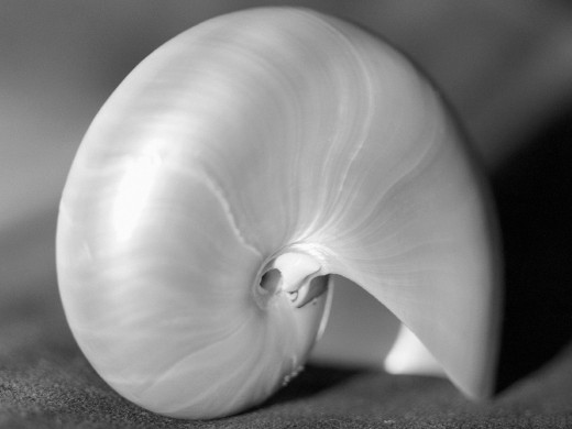 393216 (a): :1600x1200
